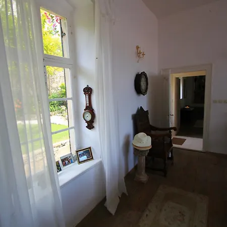 Villa Palazzo Kut